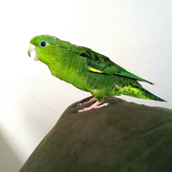 Meet your Posher, Mel - Picture 3 of 8